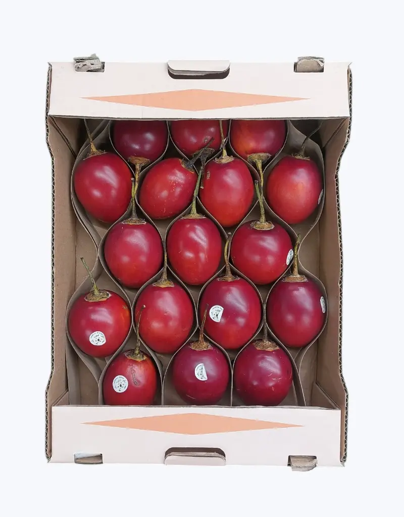 Tomate de arbol o tamarillo