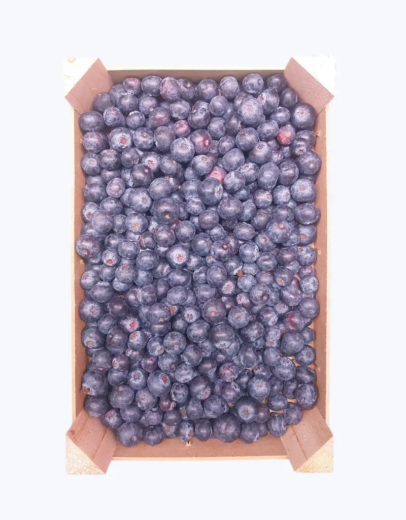 Arandanos azules granel