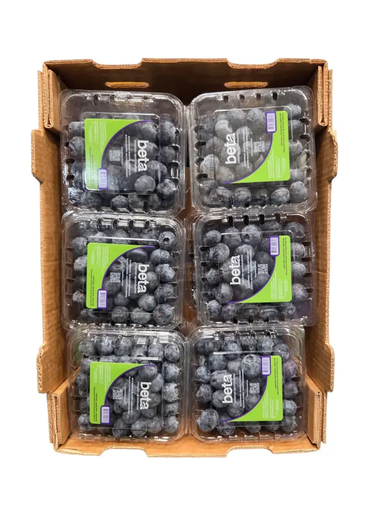 Arandanos azules tarrina