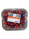 Cranberries tarrina 125g