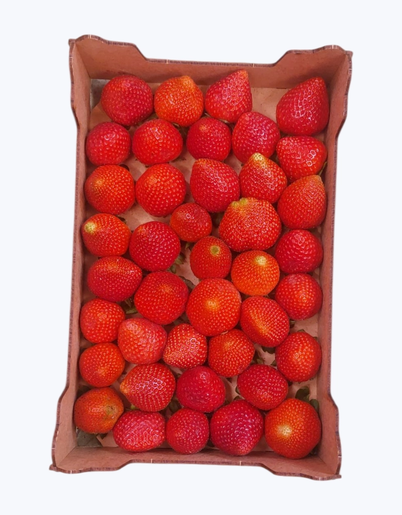 Freson caja 1kg