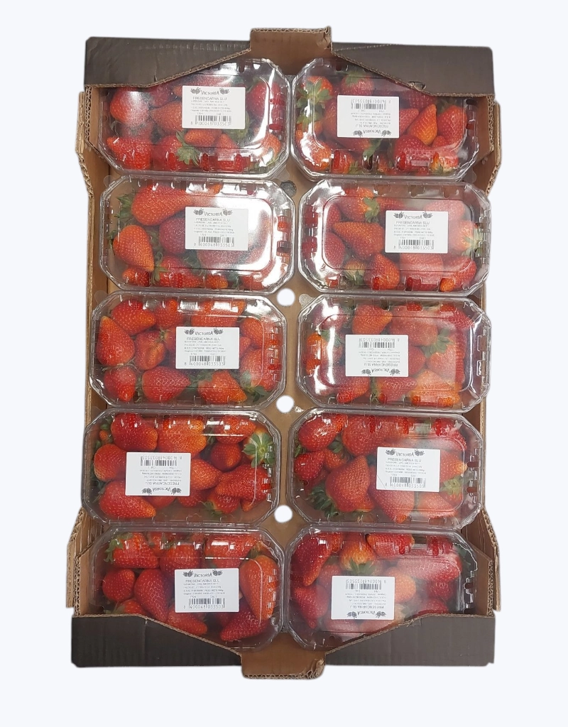 Freson tarrina 500g