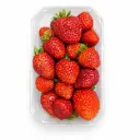 Freson Tarrina 500 g