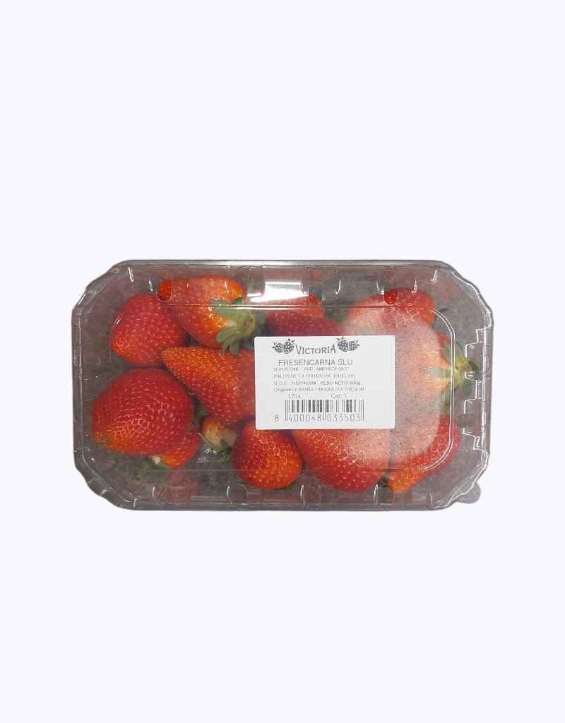 Freson Tarrina 500 g (Unidad)