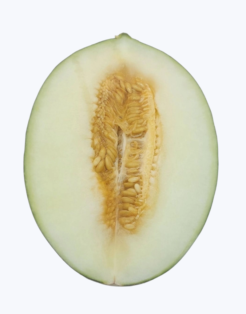 Melon piel de sapo (1/2 unidad)