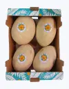 Melón Waikiki