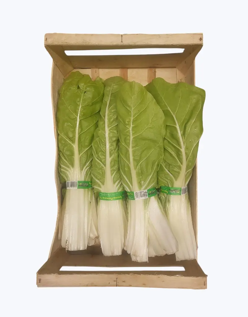 Acelga verde