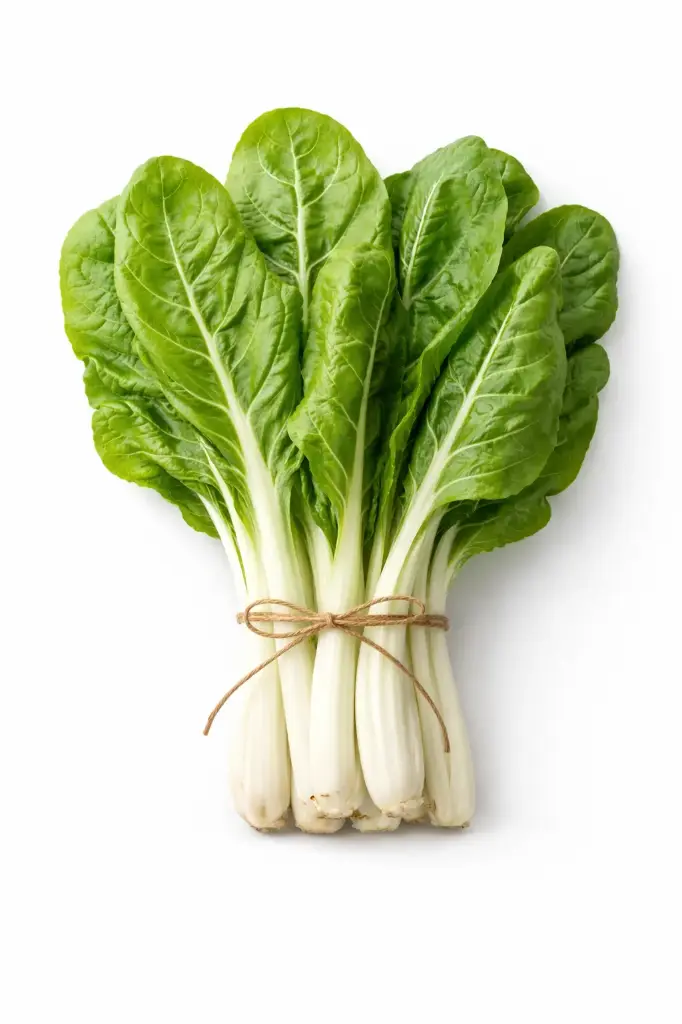 Acelga Verde
