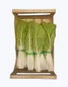 Acelga verde