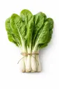 Acelga Verde