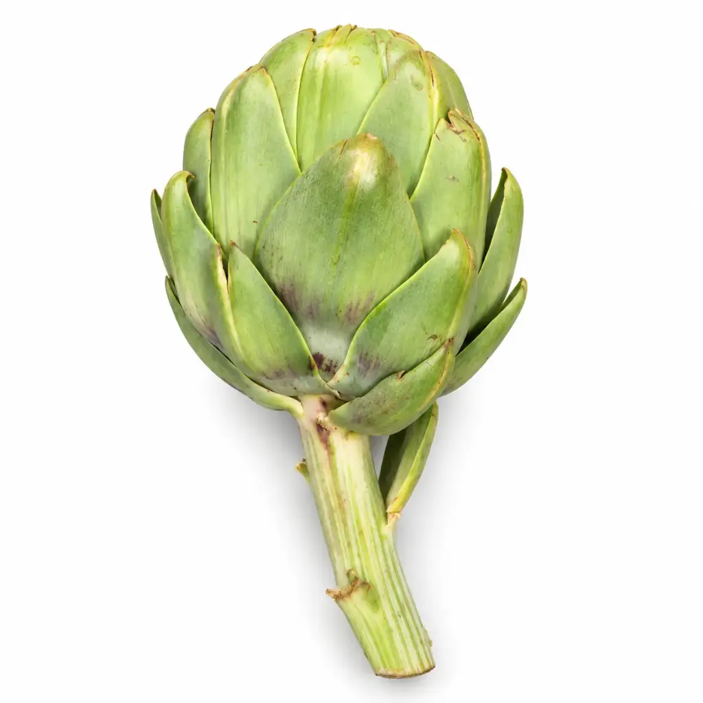 Alcachofa