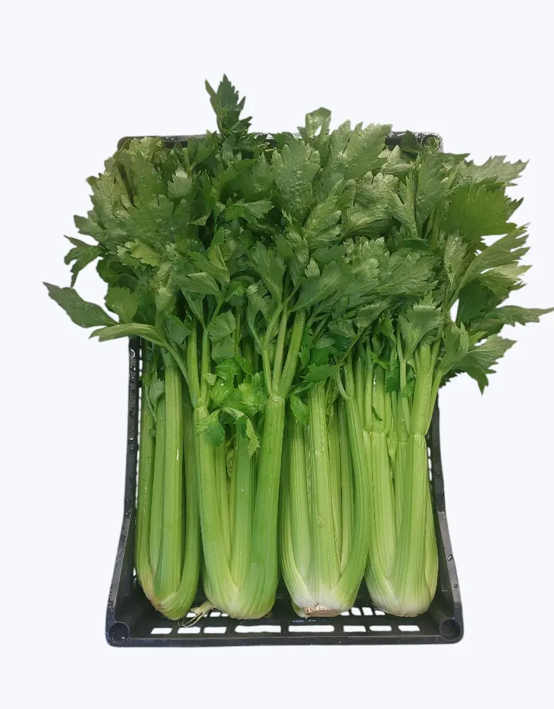 Apio verde (Manojo)