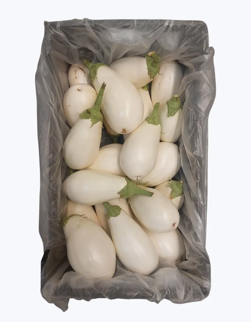Berenjena blanca