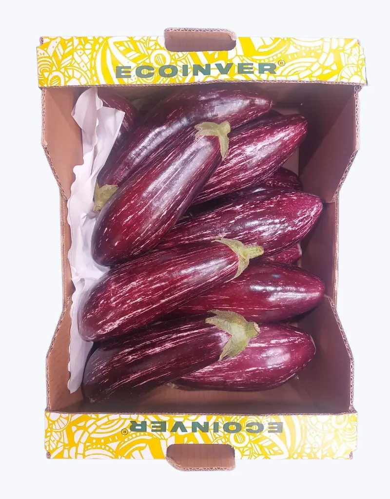 Berenjena morada