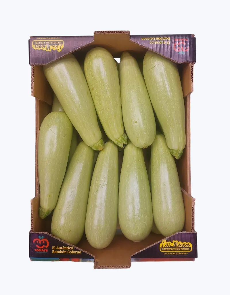 Calabacin blanco