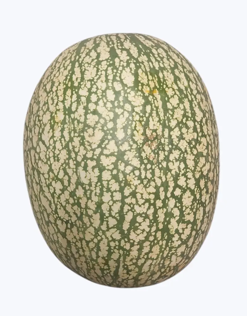 Calabaza cabello de angel (1 unidad)