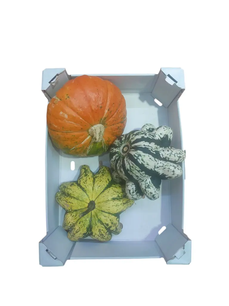 Calabaza de decoracion grande