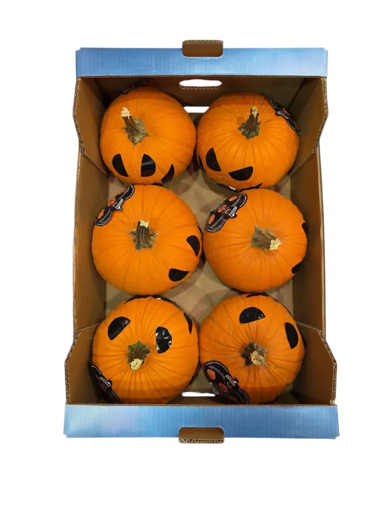 Calabaza halloween