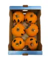 Calabaza halloween
