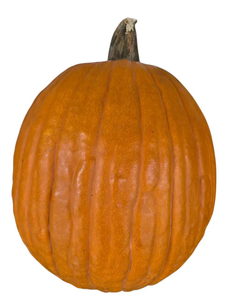 Calabaza halloween grande XXL (unidad)