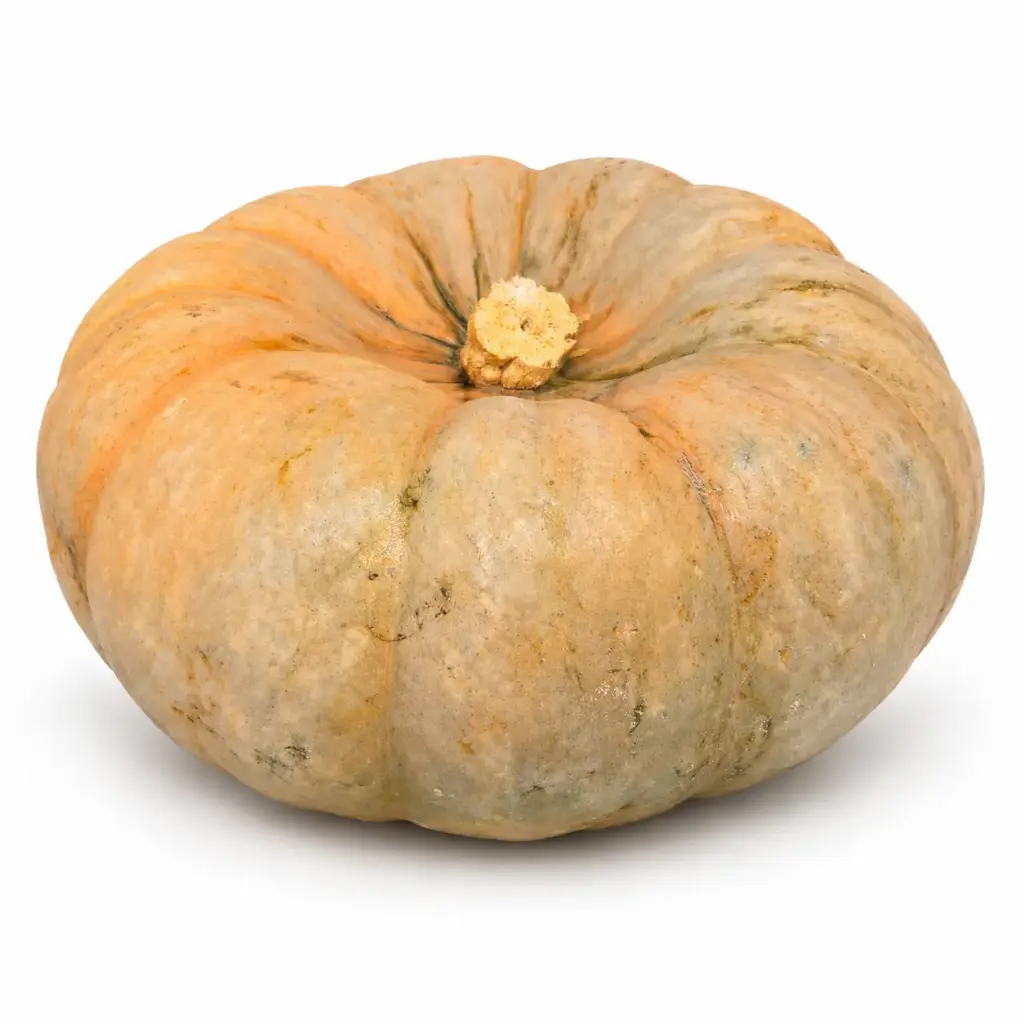 Calabaza Redonda Azul