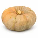 Calabaza Redonda Azul