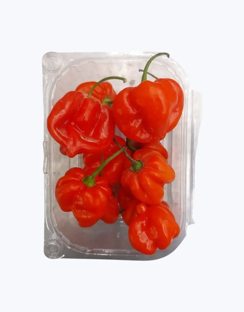 Chile habanero rojo (unidad)