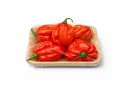 Chile habanero rojo (unidad)