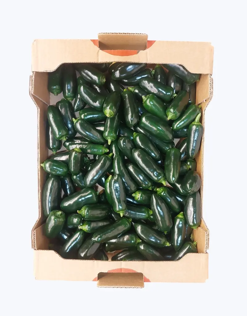 Chile jalapeño verde