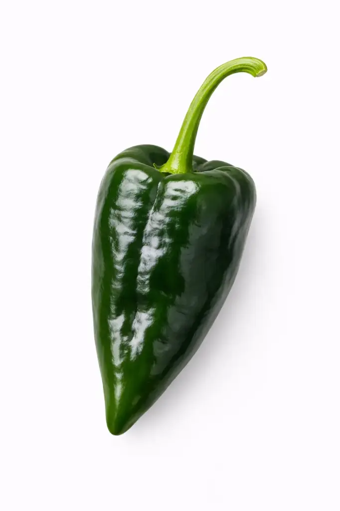 Chile Poblano