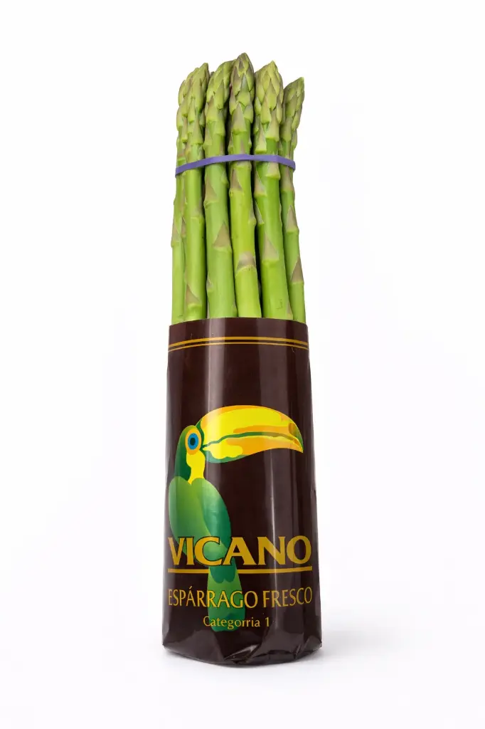 Esparrago verde extra