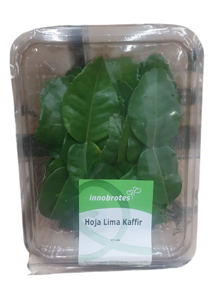 Hojas de lima kaffir fresca