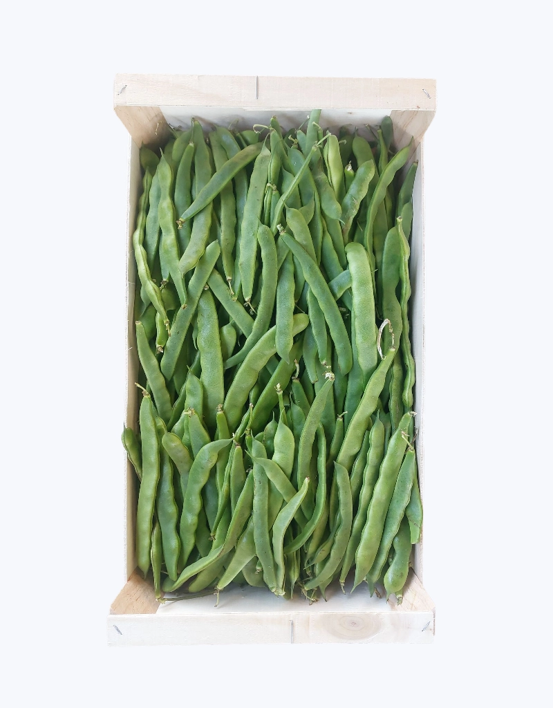 Judia perona verde
