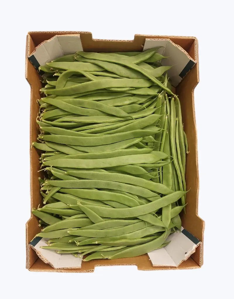 Judia verde extra