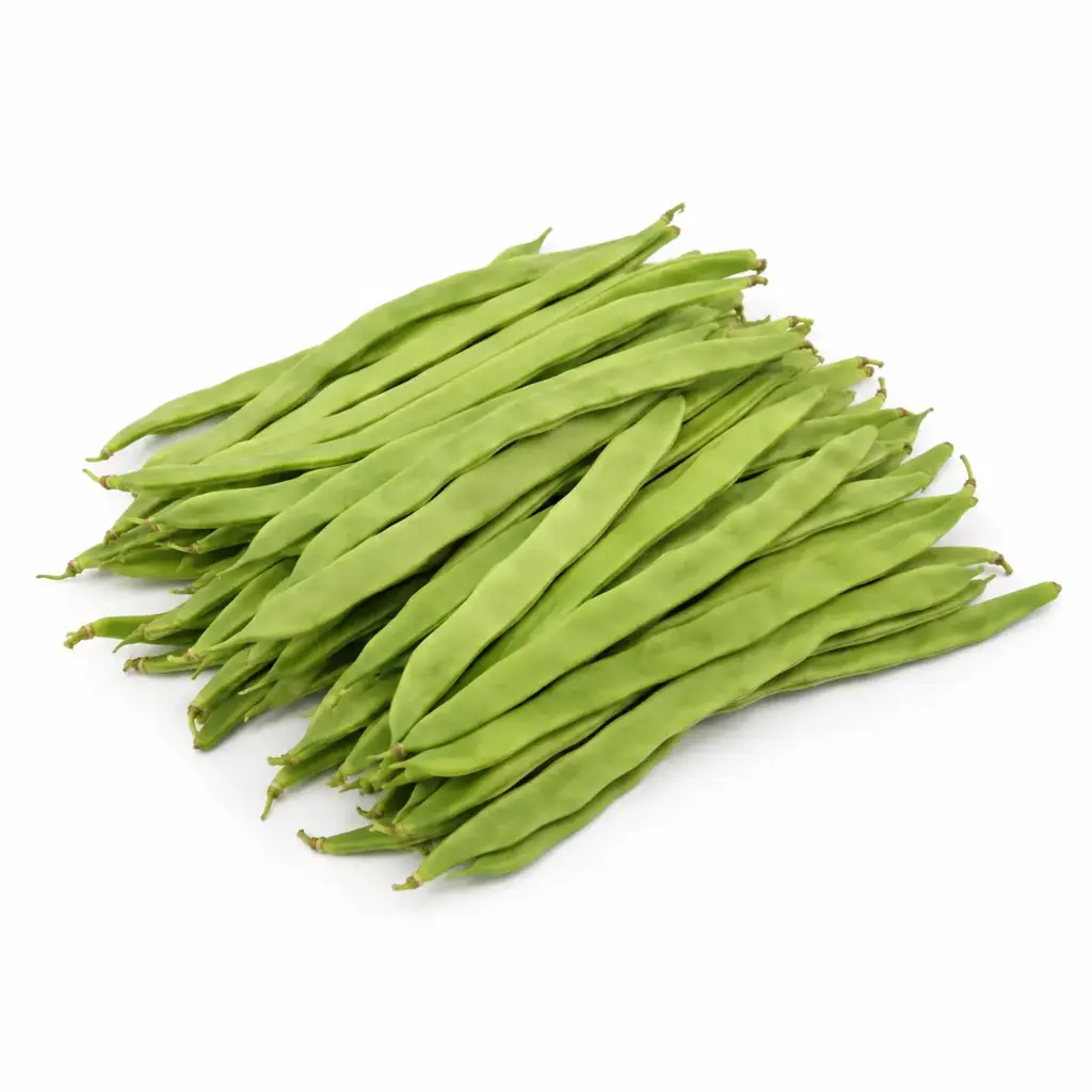 Judía Verde Extra