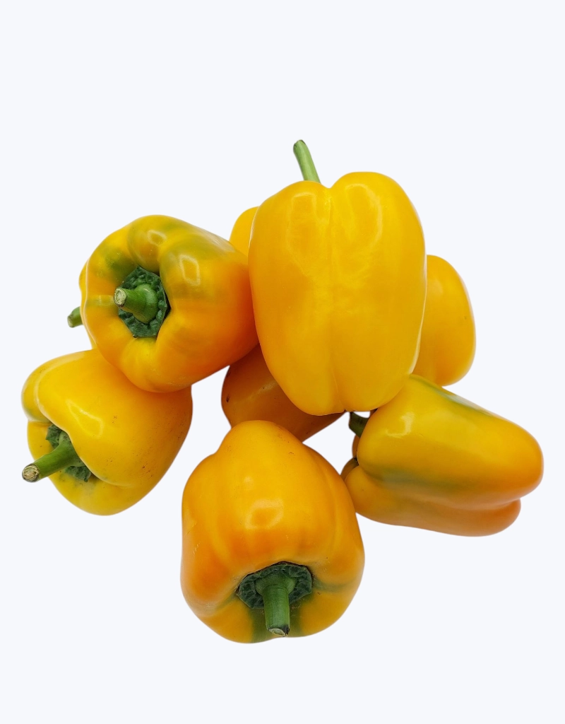 Pimiento california amarillo