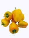 Pimiento california amarillo