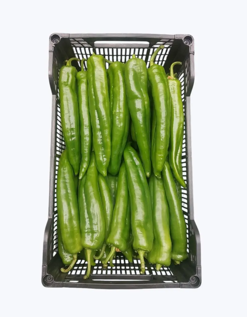 Pimiento italiano verde