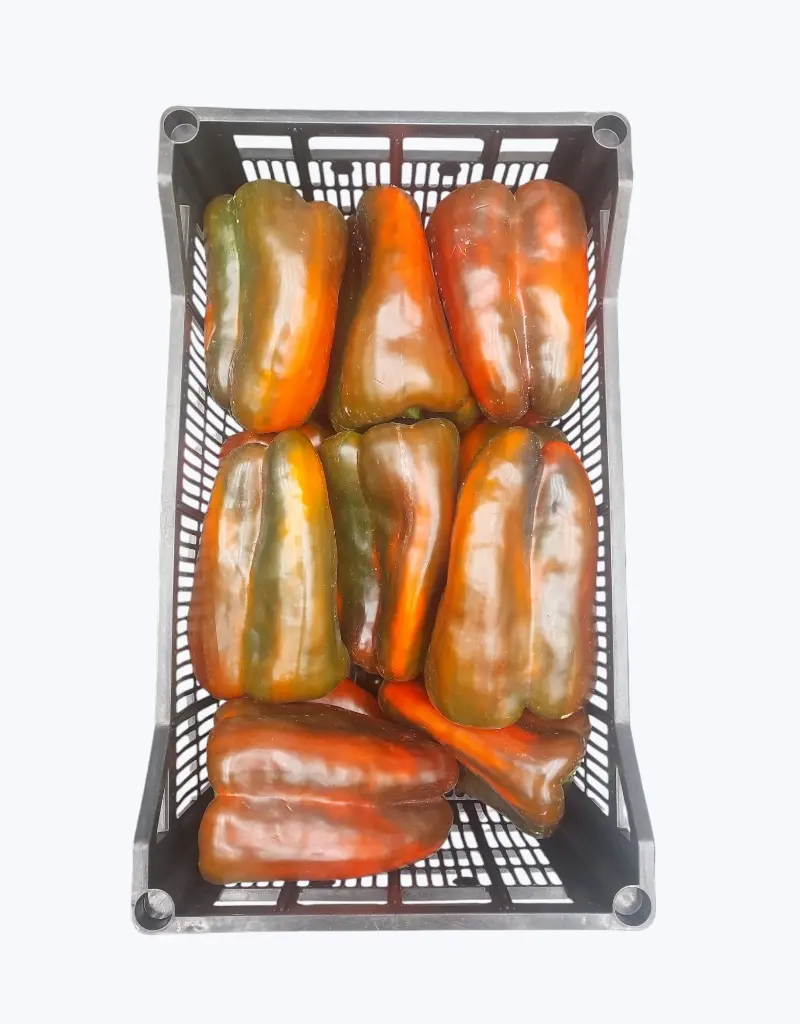 Pimiento lamuyo rojo extra