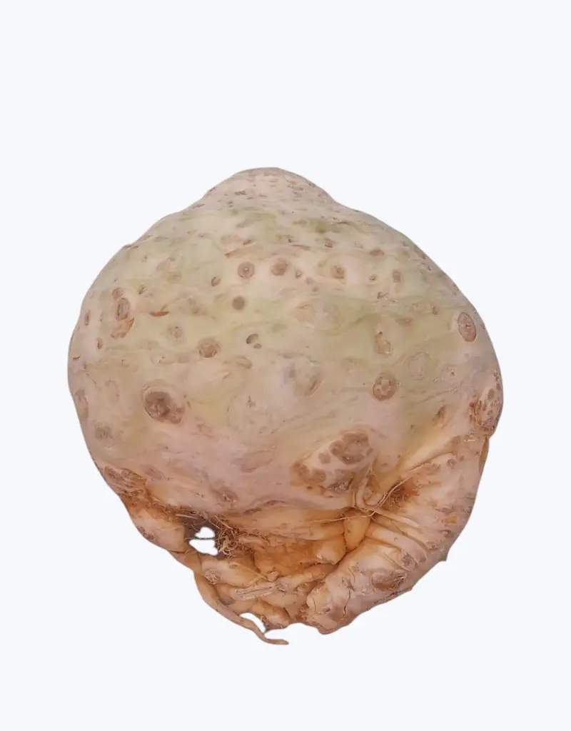 Raiz de apio (unidad)