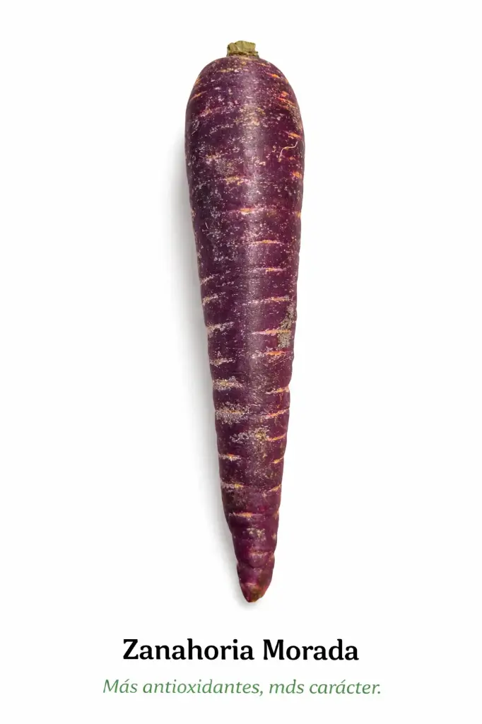 Zanahoria de Colores