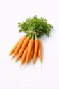 Zanahoria en manojo