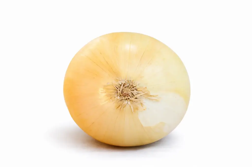 Cebolla Dulce