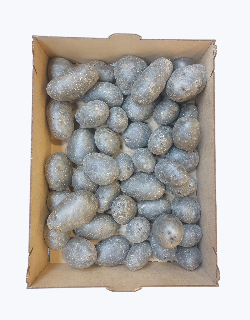 Patata Violeta