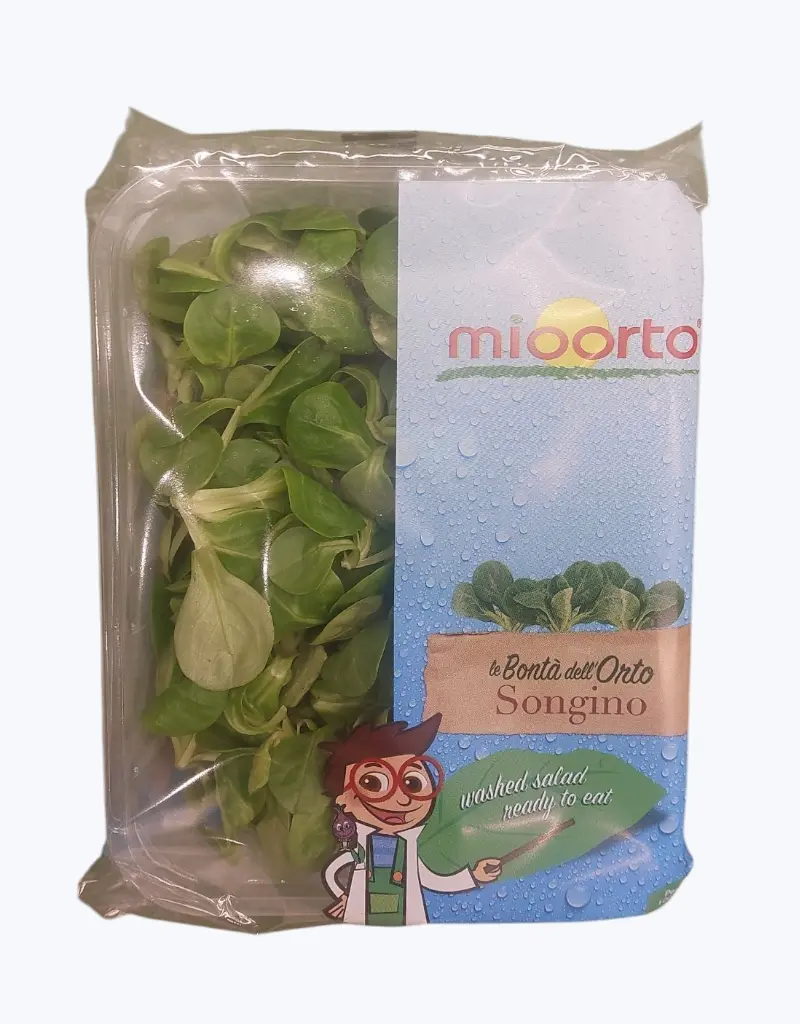 Canonigos