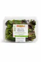 Ensalada mix brotes tiernos 100g