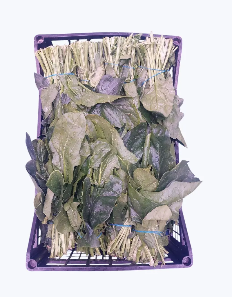 Espinaca cocer manojo