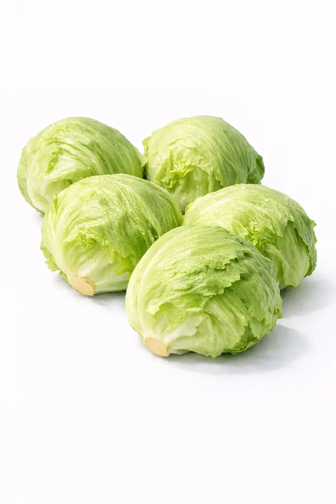 Lechuga iceberg