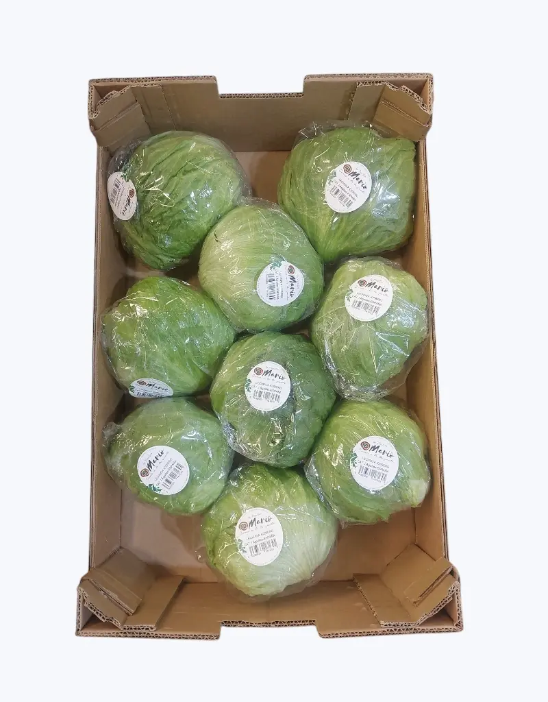 Lechuga iceberg