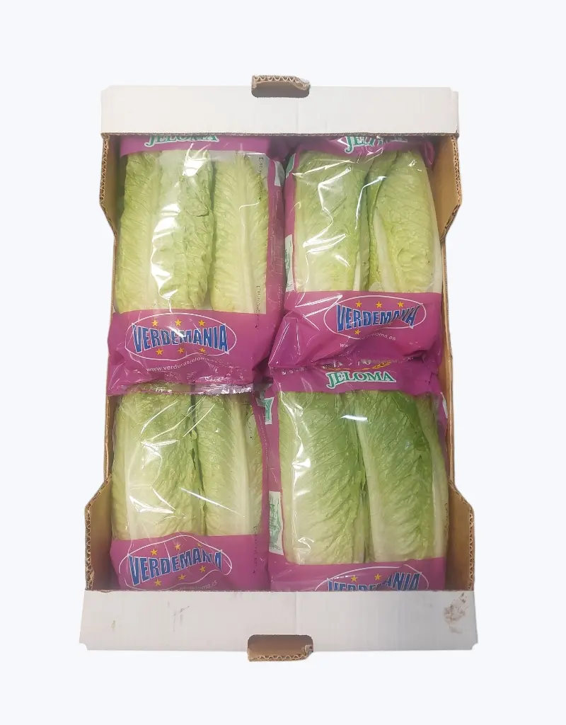 Lechuga romana